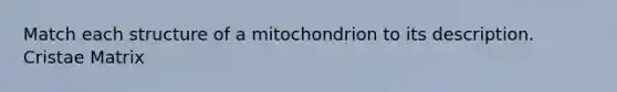 Match each structure of a mitochondrion to its description. Cristae Matrix