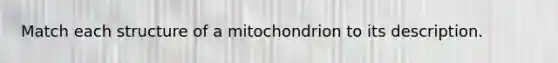 Match each structure of a mitochondrion to its description.