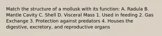 Match the structure of a mollusk with its function: A. Radula B. Mantle Cavity C. Shell D. Visceral Mass 1. Used in feeding 2. Gas Exchange 3. Protection against predators 4. Houses the digestive, excretory, and reproductive organs