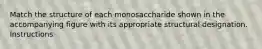 Match the structure of each monosaccharide shown in the accompanying figure with its appropriate structural designation. Instructions