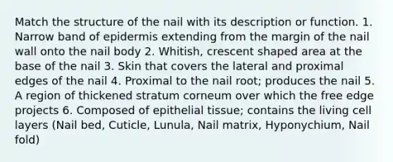 Match the structure of the nail with its description or function. 1. Narrow band of epidermis extending from the margin of the nail wall onto the nail body 2. Whitish, crescent shaped area at the base of the nail 3. Skin that covers the lateral and proximal edges of the nail 4. Proximal to the nail root; produces the nail 5. A region of thickened stratum corneum over which the free edge projects 6. Composed of <a href='https://www.questionai.com/knowledge/k7dms5lrVY-epithelial-tissue' class='anchor-knowledge'>epithelial tissue</a>; contains the living cell layers (Nail bed, Cuticle, Lunula, Nail matrix, Hyponychium, Nail fold)