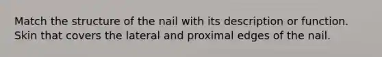 Match the structure of the nail with its description or function. Skin that covers the lateral and proximal edges of the nail.