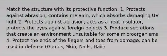 Match the structure with its protective function. 1. Protects against abrasion; contains melanin, which absorbs damaging UV light 2. Protects against abrasion; acts as a heat insulator, protects the eyes against foreign objects 3. Produce secretions that create an environment unsuitable for some microorganisms 4. Protect the ends of the fingers and toes from damage; can be used in defense (Glands, Skin, Nails, Hair)