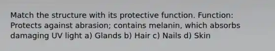 Match the structure with its protective function. Function: Protects against abrasion; contains melanin, which absorbs damaging UV light a) Glands b) Hair c) Nails d) Skin