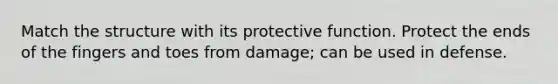 Match the structure with its protective function. Protect the ends of the fingers and toes from damage; can be used in defense.