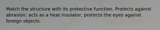 Match the structure with its protective function. Protects against abrasion; acts as a heat insulator, protects the eyes against foreign objects.