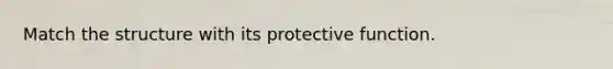 Match the structure with its protective function.