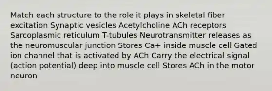 Match each structure to the role it plays in skeletal fiber excitation Synaptic vesicles Acetylcholine ACh receptors Sarcoplasmic reticulum T-tubules Neurotransmitter releases as the neuromuscular junction Stores Ca+ inside muscle cell Gated ion channel that is activated by ACh Carry the electrical signal (action potential) deep into muscle cell Stores ACh in the motor neuron