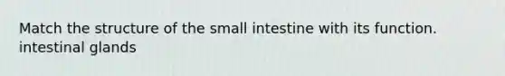 Match the structure of the small intestine with its function. intestinal glands