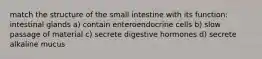 match the structure of the small intestine with its function: intestinal glands a) contain enteroendocrine cells b) slow passage of material c) secrete digestive hormones d) secrete alkaline mucus