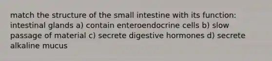 match the structure of the small intestine with its function: intestinal glands a) contain enteroendocrine cells b) slow passage of material c) secrete digestive hormones d) secrete alkaline mucus