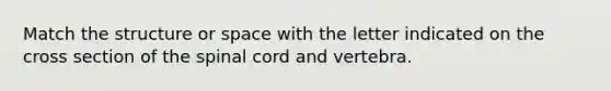 Match the structure or space with the letter indicated on the cross section of the spinal cord and vertebra.