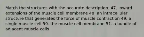 Match the structures with the accurate description. 47. inward extensions of the muscle cell membrane 48. an intracellular structure that generates the force of <a href='https://www.questionai.com/knowledge/k0LBwLeEer-muscle-contraction' class='anchor-knowledge'>muscle contraction</a> 49. a single muscle cell 50. the muscle cell membrane 51. a bundle of adjacent muscle cells