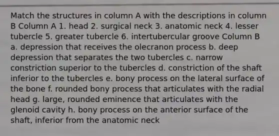 Match the structures in column A with the descriptions in column B Column A 1. head 2. surgical neck 3. anatomic neck 4. lesser tubercle 5. greater tubercle 6. intertubercular groove Column B a. depression that receives the olecranon process b. deep depression that separates the two tubercles c. narrow constriction superior to the tubercles d. constriction of the shaft inferior to the tubercles e. bony process on the lateral surface of the bone f. rounded bony process that articulates with the radial head g. large, rounded eminence that articulates with the glenoid cavity h. bony process on the anterior surface of the shaft, inferior from the anatomic neck