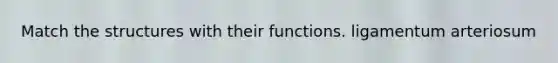 Match the structures with their functions. ligamentum arteriosum
