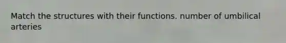 Match the structures with their functions. number of umbilical arteries