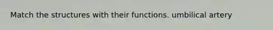 Match the structures with their functions. umbilical artery