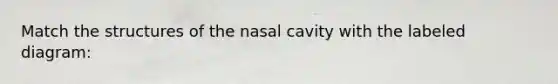 Match the structures of the nasal cavity with the labeled diagram: