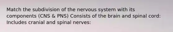 Match the subdivision of the nervous system with its components (CNS & PNS) Consists of the brain and spinal cord: Includes cranial and spinal nerves: