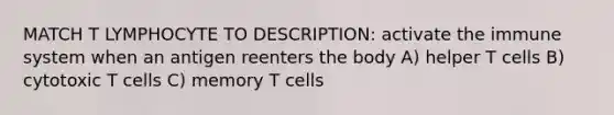 MATCH T LYMPHOCYTE TO DESCRIPTION: activate the immune system when an antigen reenters the body A) helper T cells B) cytotoxic T cells C) memory T cells