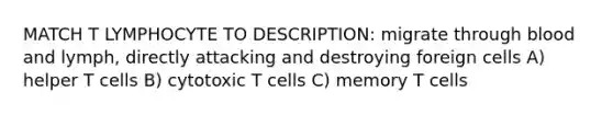 MATCH T LYMPHOCYTE TO DESCRIPTION: migrate through blood and lymph, directly attacking and destroying foreign cells A) helper T cells B) cytotoxic T cells C) memory T cells