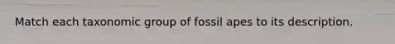 Match each taxonomic group of fossil apes to its description.