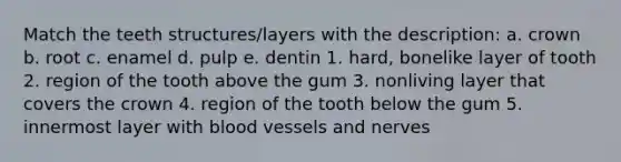 Match the teeth structures/layers with the description: a. crown b. root c. enamel d. pulp e. dentin 1. hard, bonelike layer of tooth 2. region of the tooth above the gum 3. nonliving layer that covers the crown 4. region of the tooth below the gum 5. innermost layer with blood vessels and nerves