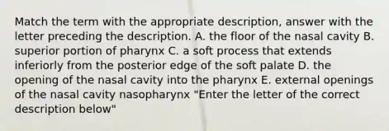 Match the term with the appropriate description, answer with the letter preceding the description. A. the floor of the nasal cavity B. superior portion of pharynx C. a soft process that extends inferiorly from the posterior edge of the soft palate D. the opening of the nasal cavity into the pharynx E. external openings of the nasal cavity nasopharynx "Enter the letter of the correct description below"