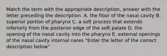 Match the term with the appropriate description, answer with the letter preceding the description. A. the floor of the nasal cavity B. superior portion of pharynx C. a soft process that extends inferiorly from the posterior edge of the soft palate D. the opening of the nasal cavity into <a href='https://www.questionai.com/knowledge/ktW97n6hGJ-the-pharynx' class='anchor-knowledge'>the pharynx</a> E. external openings of the nasal cavity internal nares "Enter the letter of the correct description below"