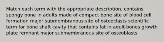 Match each term with the appropriate description. contains spongy bone in adults made of compact bone site of blood cell formation major submembranous site of osteoclasts scientific term for bone shaft cavity that contains fat in adult bones growth plate remnant major submembranous site of osteoblasts