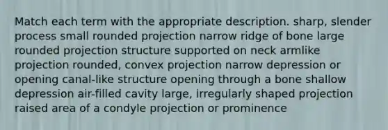 Match each term with the appropriate description. sharp, slender process small rounded projection narrow ridge of bone large rounded projection structure supported on neck armlike projection rounded, convex projection narrow depression or opening canal-like structure opening through a bone shallow depression air-filled cavity large, irregularly shaped projection raised area of a condyle projection or prominence