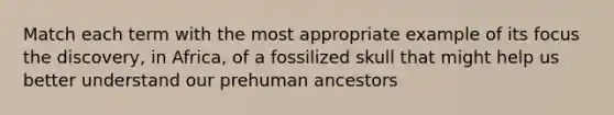 Match each term with the most appropriate example of its focus the discovery, in Africa, of a fossilized skull that might help us better understand our prehuman ancestors