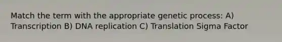 Match the term with the appropriate genetic process: A) Transcription B) DNA replication C) Translation Sigma Factor