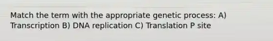 Match the term with the appropriate genetic process: A) Transcription B) DNA replication C) Translation P site