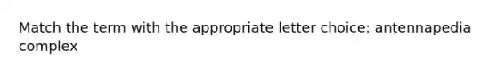 Match the term with the appropriate letter choice: antennapedia complex