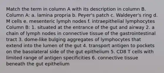 Match the term in column A with its description in column B. Column A: a. lamina propria b. Peyer's patch c. Waldeyer's ring d. M cells e. mesenteric lymph nodes f. intraepithelial lymphocytes Column B: 1. situated at the entrance of the gut and airway 2. a chain of lymph nodes in connective tissue of the gastrointestinal tract 3. dome-like bulging aggregates of lymphocytes that extend into the lumen of the gut 4. transport antigen to pockets on the basolateral side of the gut epithelium 5. CD8 T cells with limited range of antigen specificities 6. connective tissue beneath the gut epithelium