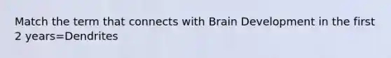 Match the term that connects with Brain Development in the first 2 years=Dendrites