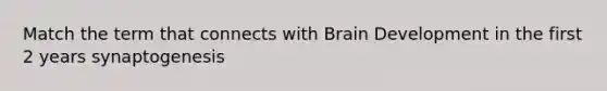 Match the term that connects with Brain Development in the first 2 years synaptogenesis