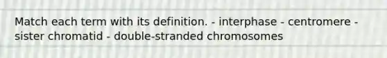 Match each term with its definition. - interphase - centromere - sister chromatid - double-stranded chromosomes