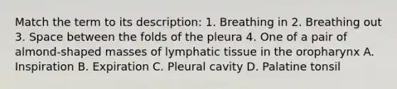 Match the term to its description: 1. Breathing in 2. Breathing out 3. Space between the folds of the pleura 4. One of a pair of almond-shaped masses of lymphatic tissue in the oropharynx A. Inspiration B. Expiration C. Pleural cavity D. Palatine tonsil