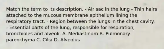 Match the term to its description. - Air sac in the lung - Thin hairs attached to the mucous membrane epithelium lining the respiratory tract. - Region between the lungs in the chest cavity. - Essential parts of the lung, responsible for respiration; bronchioles and alveoli. A. Mediastinum B. Pulmonary parenchyma C. Cilia D. Alveolus