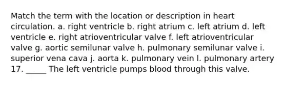 Match the term with the location or description in heart circulation. a. right ventricle b. right atrium c. left atrium d. left ventricle e. right atrioventricular valve f. left atrioventricular valve g. aortic semilunar valve h. pulmonary semilunar valve i. superior vena cava j. aorta k. pulmonary vein l. pulmonary artery 17. _____ The left ventricle pumps blood through this valve.