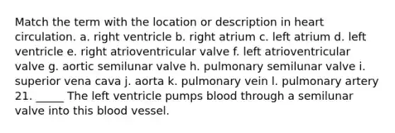 Match the term with the location or description in heart circulation. a. right ventricle b. right atrium c. left atrium d. left ventricle e. right atrioventricular valve f. left atrioventricular valve g. aortic semilunar valve h. pulmonary semilunar valve i. superior vena cava j. aorta k. pulmonary vein l. pulmonary artery 21. _____ The left ventricle pumps blood through a semilunar valve into this blood vessel.