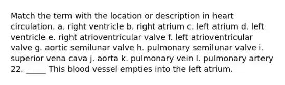 Match the term with the location or description in heart circulation. a. right ventricle b. right atrium c. left atrium d. left ventricle e. right atrioventricular valve f. left atrioventricular valve g. aortic semilunar valve h. pulmonary semilunar valve i. superior vena cava j. aorta k. pulmonary vein l. pulmonary artery 22. _____ This blood vessel empties into the left atrium.