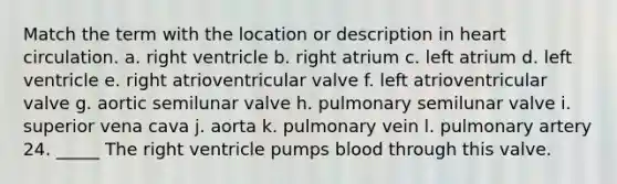 Match the term with the location or description in heart circulation. a. right ventricle b. right atrium c. left atrium d. left ventricle e. right atrioventricular valve f. left atrioventricular valve g. aortic semilunar valve h. pulmonary semilunar valve i. superior vena cava j. aorta k. pulmonary vein l. pulmonary artery 24. _____ The right ventricle pumps blood through this valve.