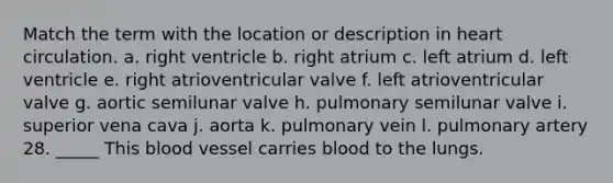 Match the term with the location or description in heart circulation. a. right ventricle b. right atrium c. left atrium d. left ventricle e. right atrioventricular valve f. left atrioventricular valve g. aortic semilunar valve h. pulmonary semilunar valve i. superior vena cava j. aorta k. pulmonary vein l. pulmonary artery 28. _____ This blood vessel carries blood to the lungs.