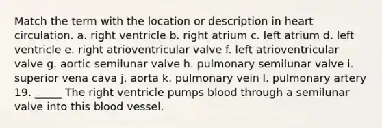 Match the term with the location or description in heart circulation. a. right ventricle b. right atrium c. left atrium d. left ventricle e. right atrioventricular valve f. left atrioventricular valve g. aortic semilunar valve h. pulmonary semilunar valve i. superior vena cava j. aorta k. pulmonary vein l. pulmonary artery 19. _____ The right ventricle pumps blood through a semilunar valve into this blood vessel.