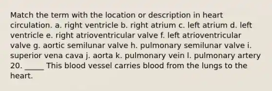 Match the term with the location or description in heart circulation. a. right ventricle b. right atrium c. left atrium d. left ventricle e. right atrioventricular valve f. left atrioventricular valve g. aortic semilunar valve h. pulmonary semilunar valve i. superior vena cava j. aorta k. pulmonary vein l. pulmonary artery 20. _____ This blood vessel carries blood from the lungs to the heart.