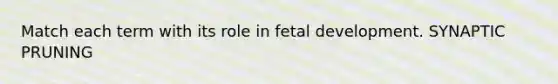 Match each term with its role in fetal development. SYNAPTIC PRUNING