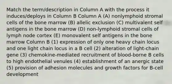 Match the term/description in Column A with the process it induces/deploys in Column B Column A (A) nonlymphoid stromal cells of the bone marrow (B) allelic exclusion (C) multivalent self antigens in the bone marrow (D) non-lymphoid stromal cells of lymph node cortex (E) monovalent self antigens in the bone marrow Column B (1) expression of only one heavy chain locus and one light chain locus in a B cell (2) alteration of light-chain gene (3) chemokine-mediated recruitment of blood-borne B cells to high endothelial venules (4) establishment of an anergic state (5) provision of adhesion molecules and growth factors for B-cell development